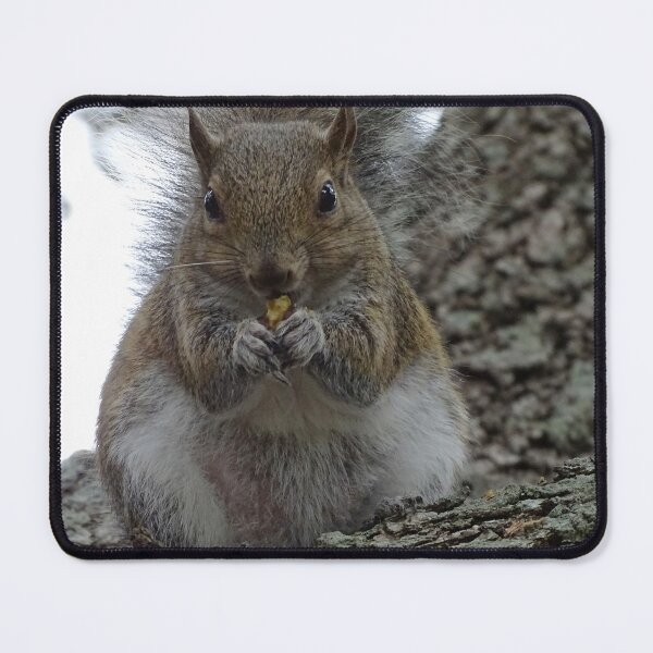 Item preview, Cute squirrel #0090 designed and sold by Jeffrey Mask.