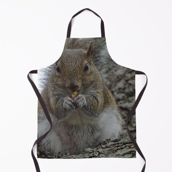 Item preview, Cute squirrel #0090 designed and sold by Jeffrey Mask.