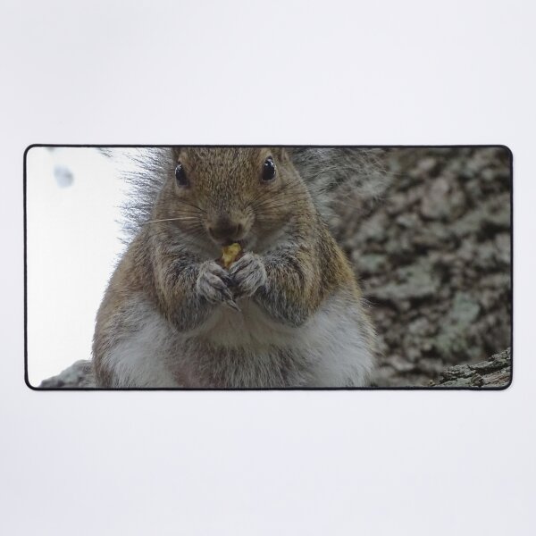 Item preview, Cute squirrel #0090 designed and sold by Jeffrey Mask.