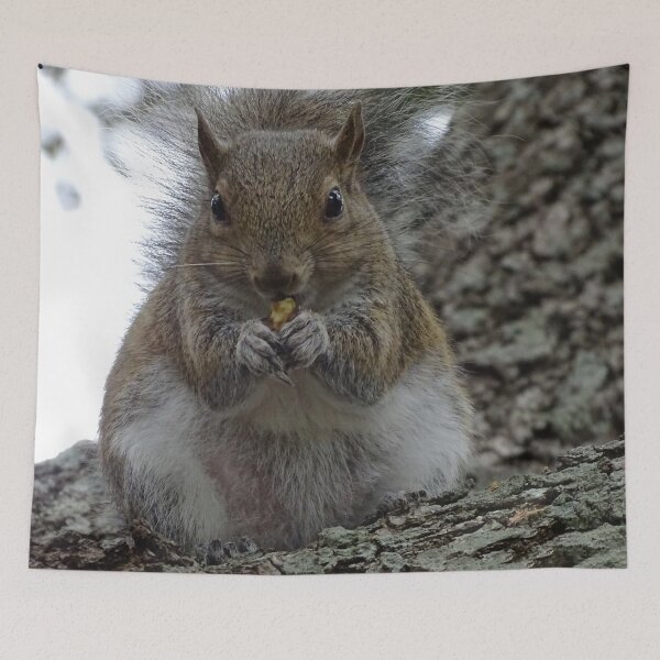 Item preview, Cute squirrel #0090 designed and sold by Jeffrey Mask.