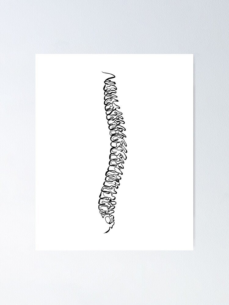 quot One Line Spine Drawing No 7 quot Poster for Sale by FineNoon Redbubble