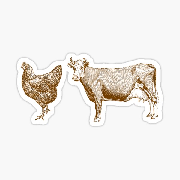 "Brown Chicken Brown Cow" Sticker for Sale by LifeSpice Redbubble