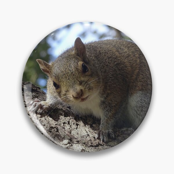 Item preview, Cute Squirrel #0091 designed and sold by Jeffrey Mask.