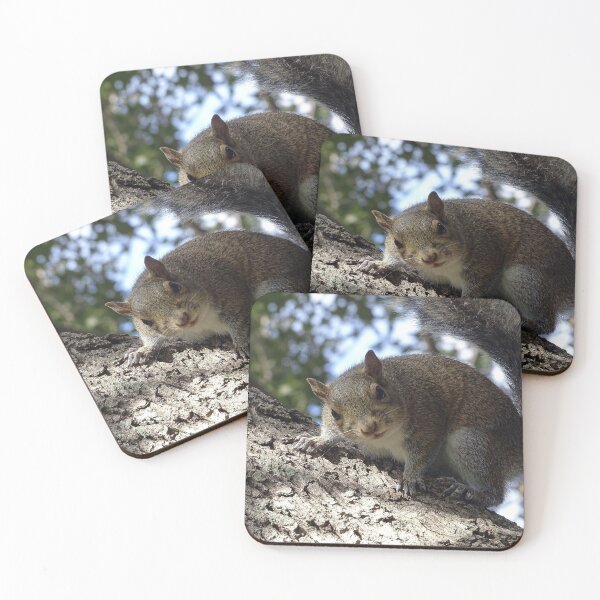 Item preview, Cute Squirrel #0091 designed and sold by Jeffrey Mask.