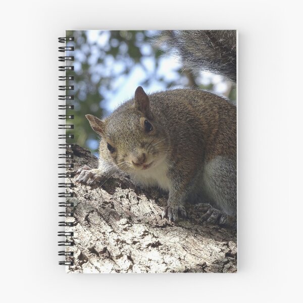 Item preview, Cute Squirrel #0091 designed and sold by Jeffrey Mask.