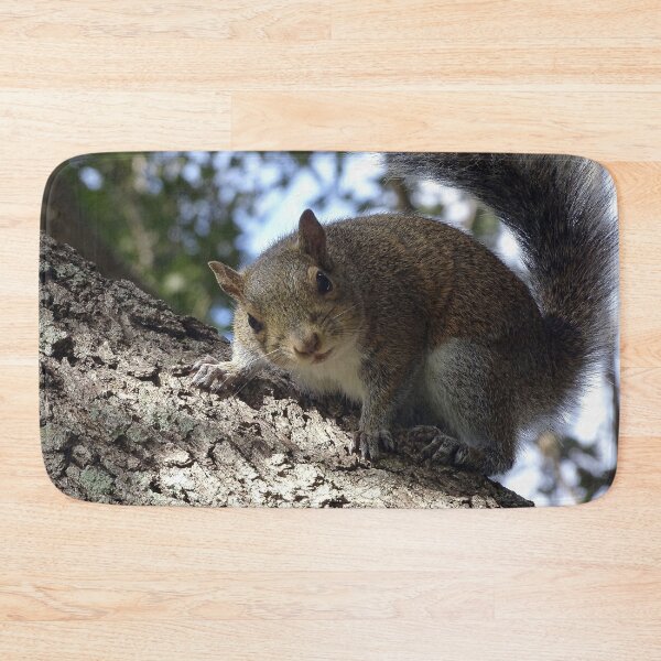 Item preview, Cute Squirrel #0091 designed and sold by Jeffrey Mask.