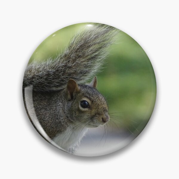 Item preview, Cute Squirrel #0092 designed and sold by Jeffrey Mask.