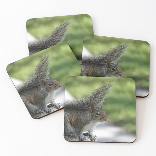 Item preview, Cute Squirrel #0092 designed and sold by Jeffrey Mask.