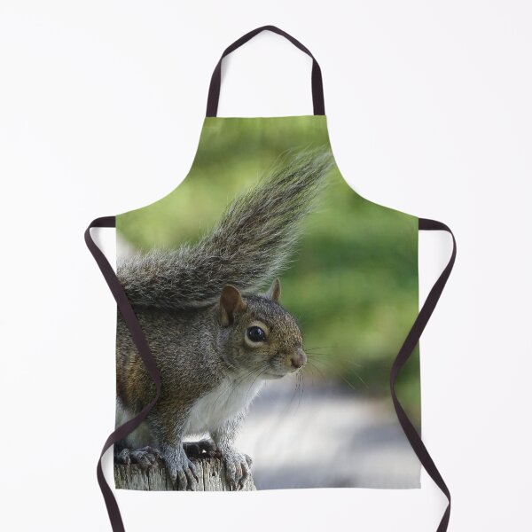 Item preview, Cute Squirrel #0092 designed and sold by Jeffrey Mask.
