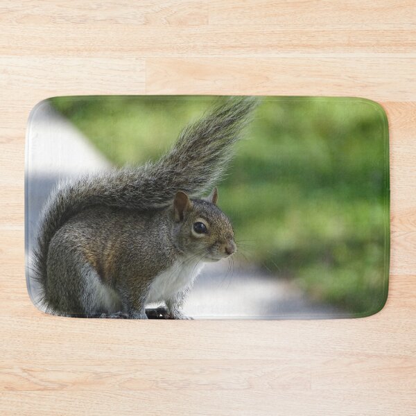 Item preview, Cute Squirrel #0092 designed and sold by Jeffrey Mask.