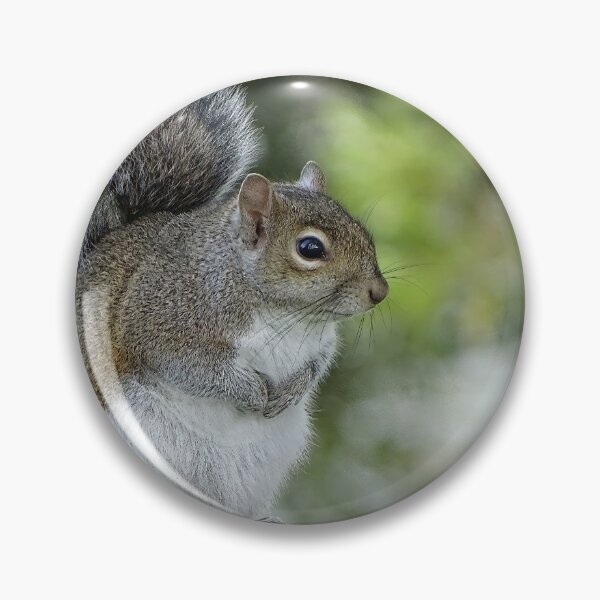 Item preview, Cute Squirrel #0093 designed and sold by Jeffrey Mask.