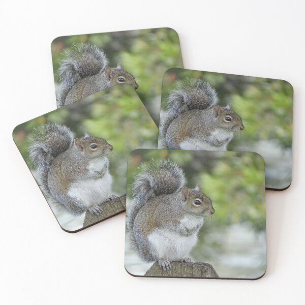Item preview, Cute Squirrel #0093 designed and sold by Jeffrey Mask.