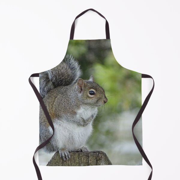 Item preview, Cute Squirrel #0093 designed and sold by Jeffrey Mask.