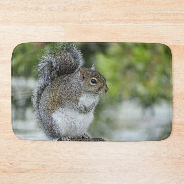 Item preview, Cute Squirrel #0093 designed and sold by Jeffrey Mask.