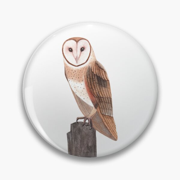 Item preview, Sitting Owl  designed and sold by FloridaKeys1984.