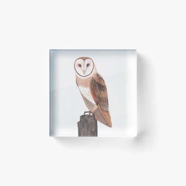 Item preview, Sitting Owl  designed and sold by FloridaKeys1984.