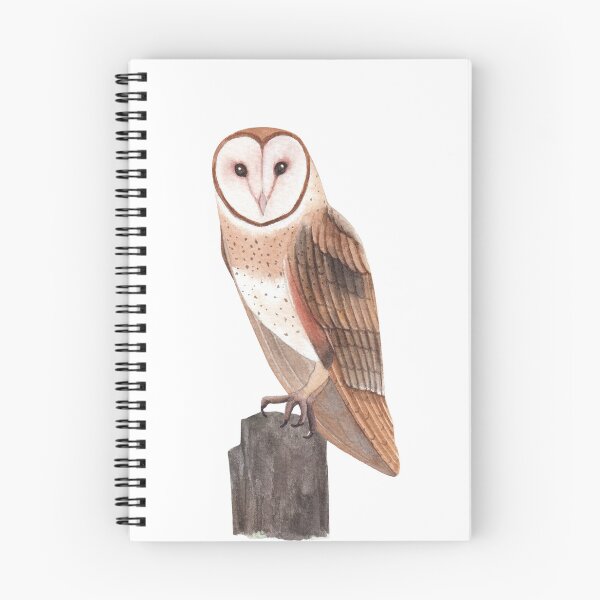 Item preview, Sitting Owl  designed and sold by FloridaKeys1984.