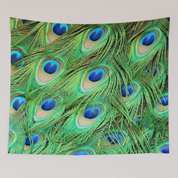 Item preview, Peacock Plumage designed and sold by antevasinart.