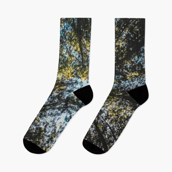 Item preview, Trees in the Sky designed and sold by antevasinart.