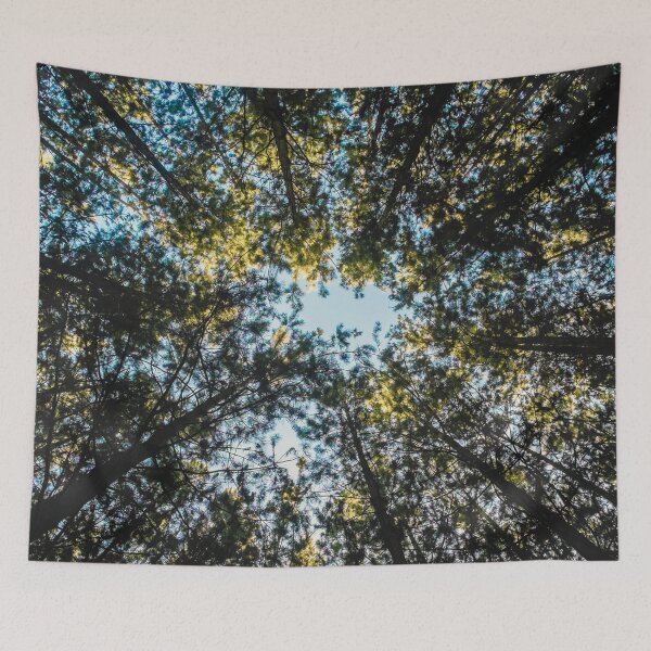 Item preview, Trees in the Sky designed and sold by antevasinart.