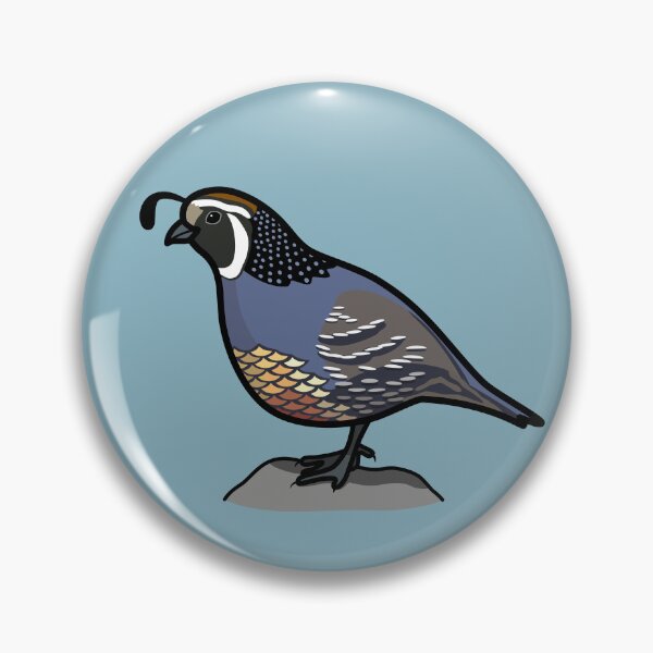 Item preview, California Quail State Bird of California Graphic Illustration designed and sold by ErinTerryIllus.