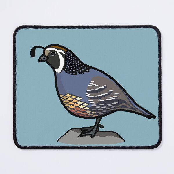 Item preview, California Quail State Bird of California Graphic Illustration designed and sold by ErinTerryIllus.