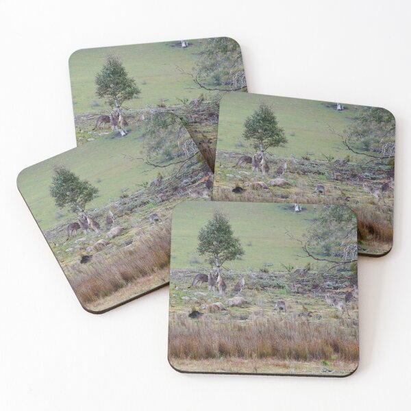 Item preview, Kangaroo Valley designed and sold by D-GaP.