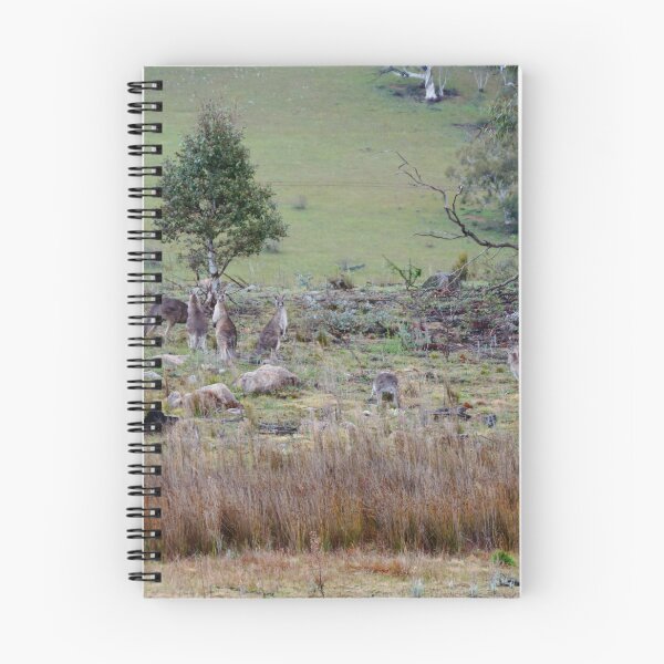 Item preview, Kangaroo Valley designed and sold by D-GaP.