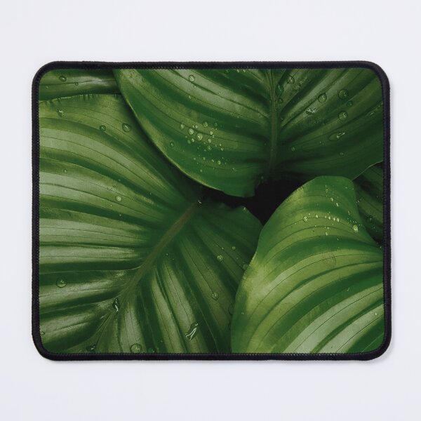 Item preview, Tropical Palm Leaves designed and sold by newburyboutique.