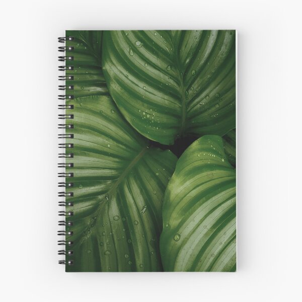 Item preview, Tropical Palm Leaves designed and sold by newburyboutique.
