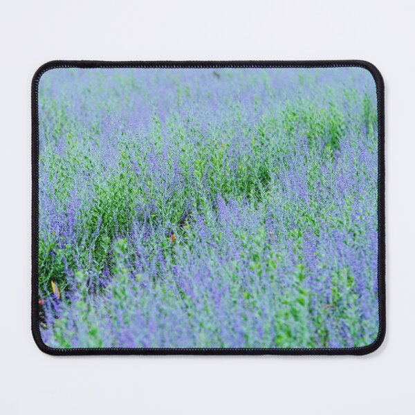 Item preview, lavender designed and sold by hdconnellyphoto.