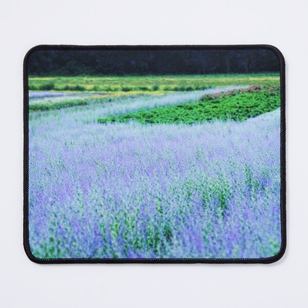 Item preview, lavender designed and sold by hdconnellyphoto.