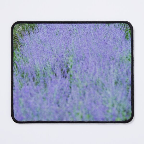 Item preview, lavender designed and sold by hdconnellyphoto.