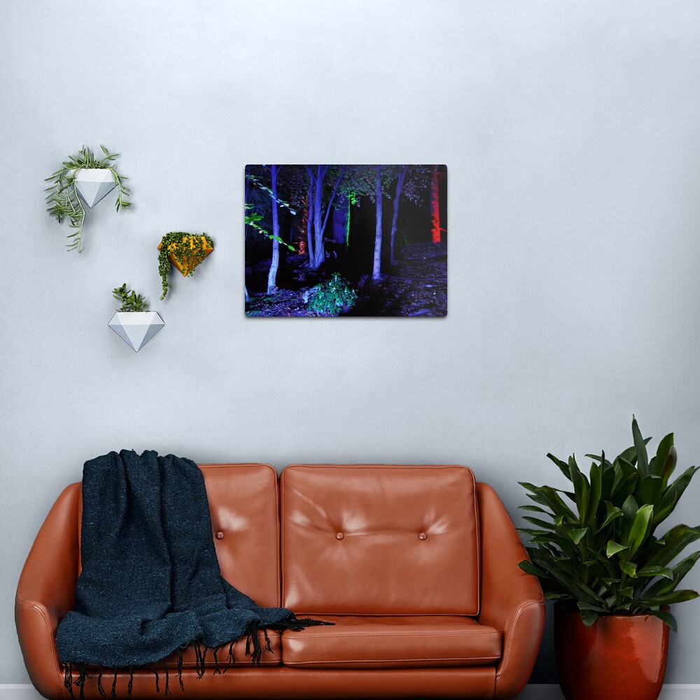 The Enchanted Forest Metal Print