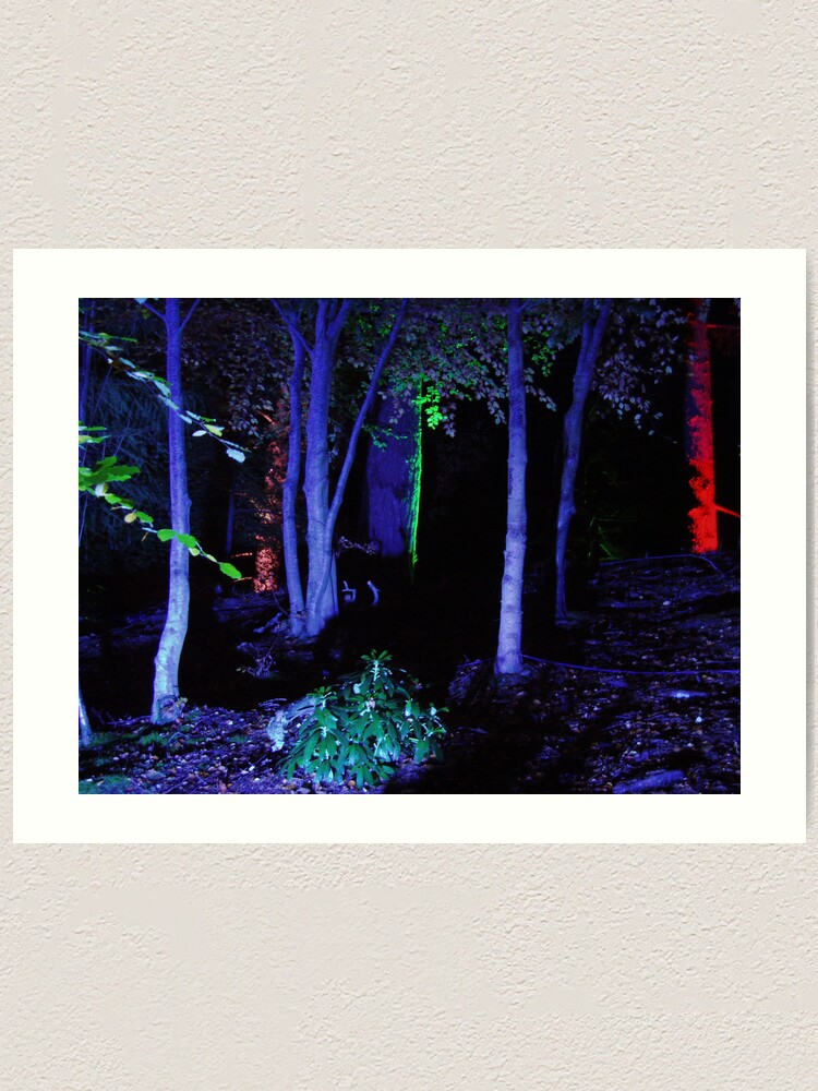 Alternate view of The Enchanted Forest Art Print