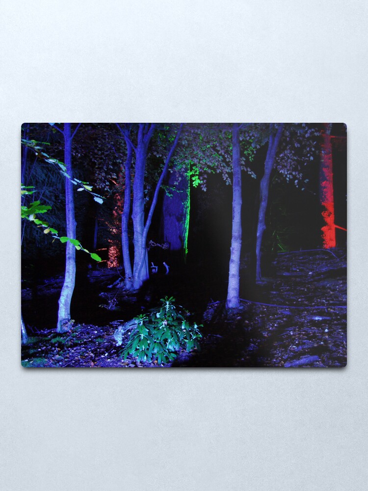 Alternate view of The Enchanted Forest Metal Print