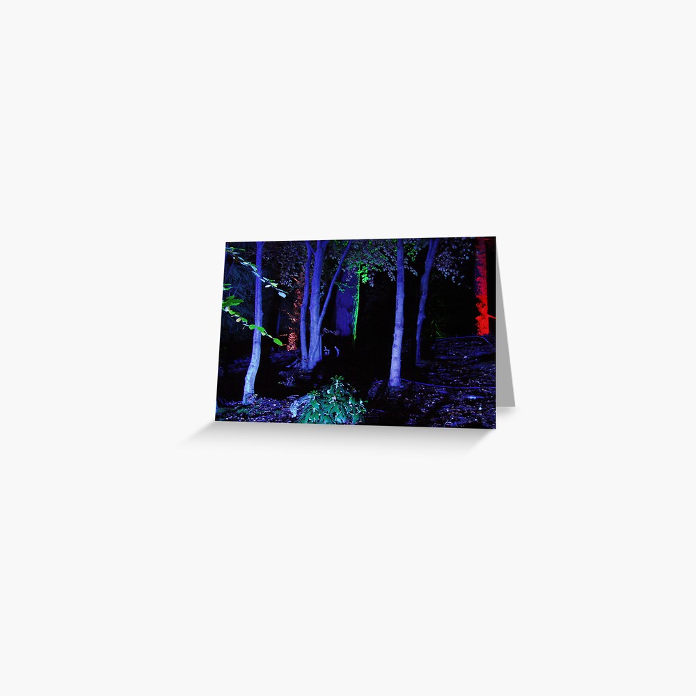 The Enchanted Forest Greeting Card