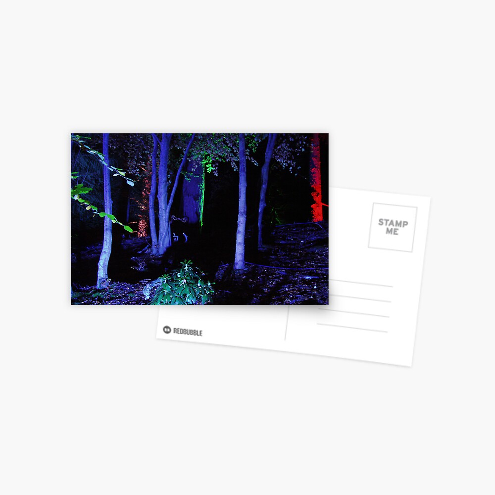 The Enchanted Forest Postcard