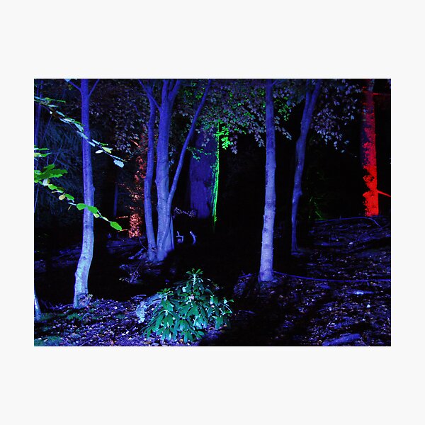 Photographic Print