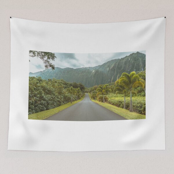 Aperçu de l'œuvre Jardins botaniques Ho'omaluhia, Oahu, Hawaï créée et vendue par newburyboutique.