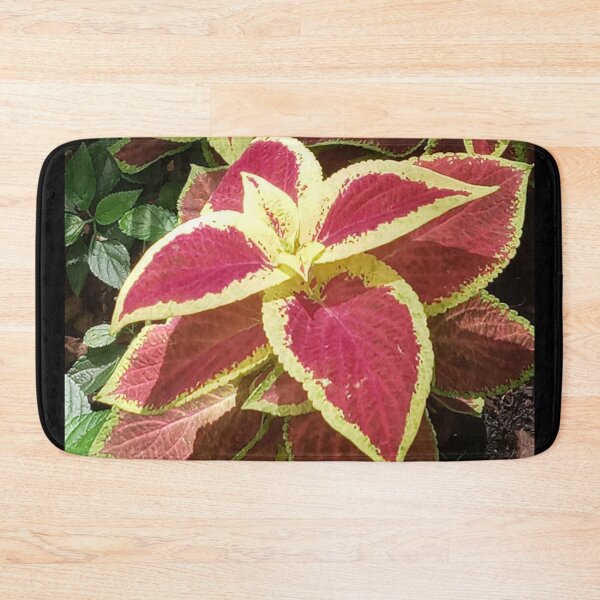 Item preview, COLEUS FAIRWAY RUBY designed and sold by PCCARES.