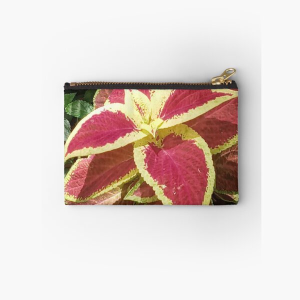 Item preview, COLEUS FAIRWAY RUBY designed and sold by PCCARES.