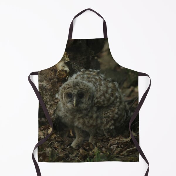 Item preview, Owlet fell to earth designed and sold by locustgirl.