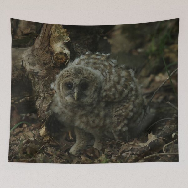 Item preview, Owlet fell to earth designed and sold by locustgirl.