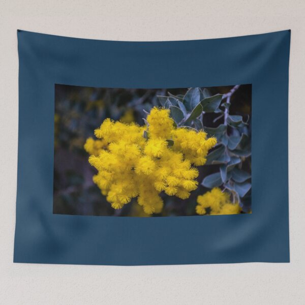 Item preview, Acacia designed and sold by indiafrankk.