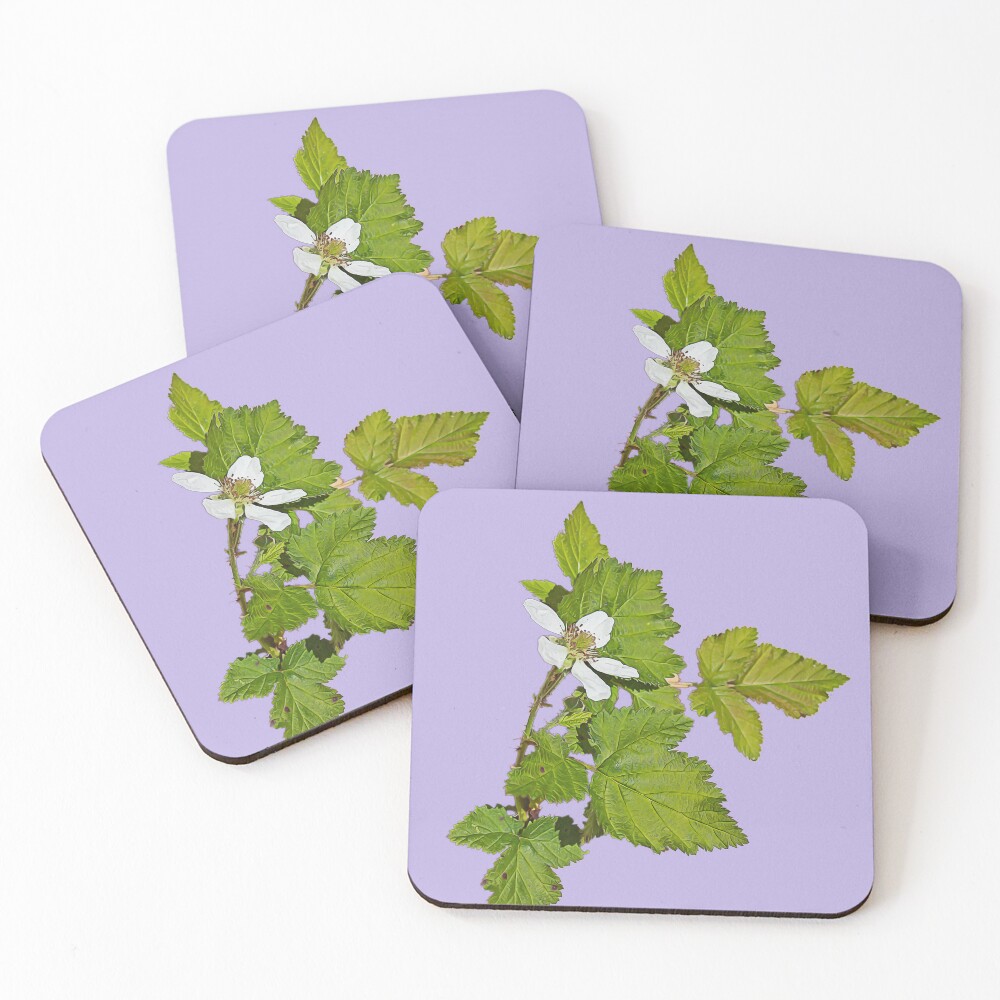 Item preview, Coasters (Set of 4) designed and sold by FigTreeMagick.