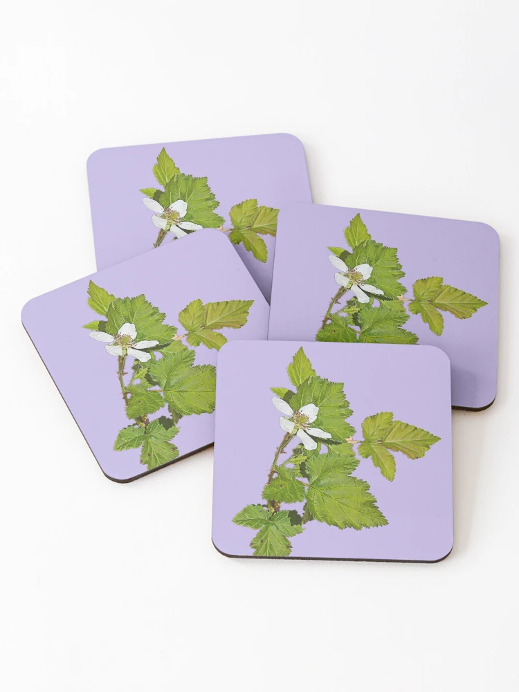 Thumbnail 1 of 5, Coasters (Set of 4), The Raspberry Flourish designed and sold by FigTreeMagick.