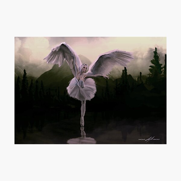 Swan Lake Photographic Print