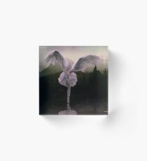 Swan Lake Acrylic Block