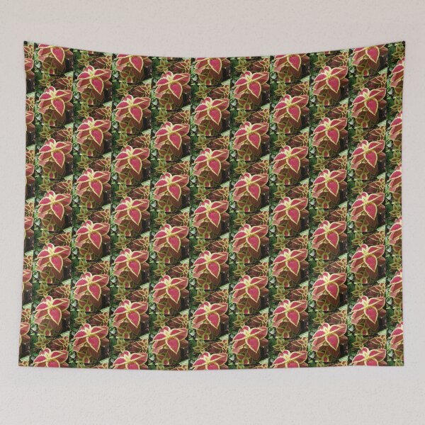 Item preview, COLEUS FAIRWAY RUBY designed and sold by PCCARES.